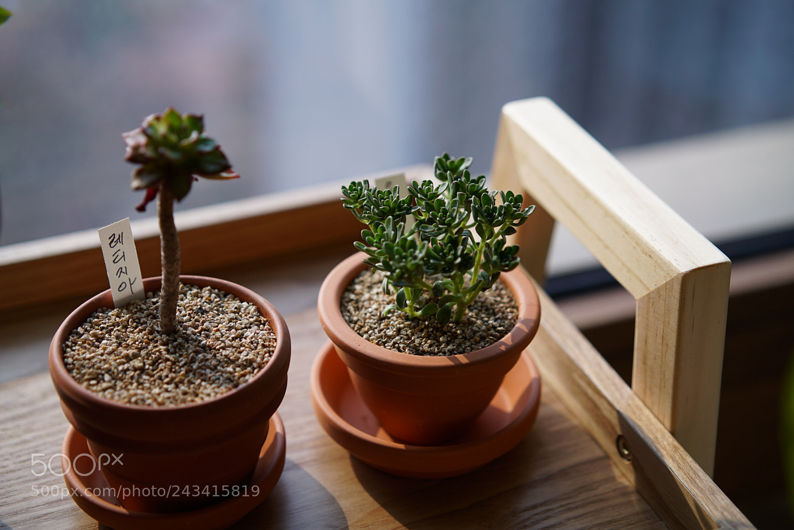 Sony a7S II sample photo. Test photography