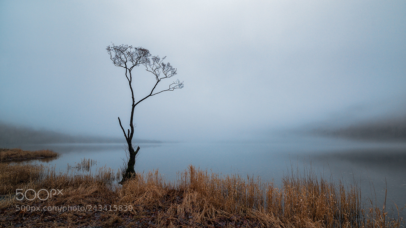 Nikon D610 sample photo. Introvert photography