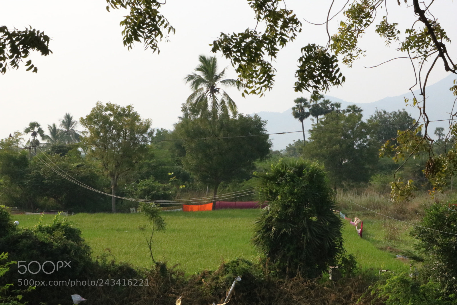 Canon EOS 750D (EOS Rebel T6i / EOS Kiss X8i) sample photo. Untitled photography