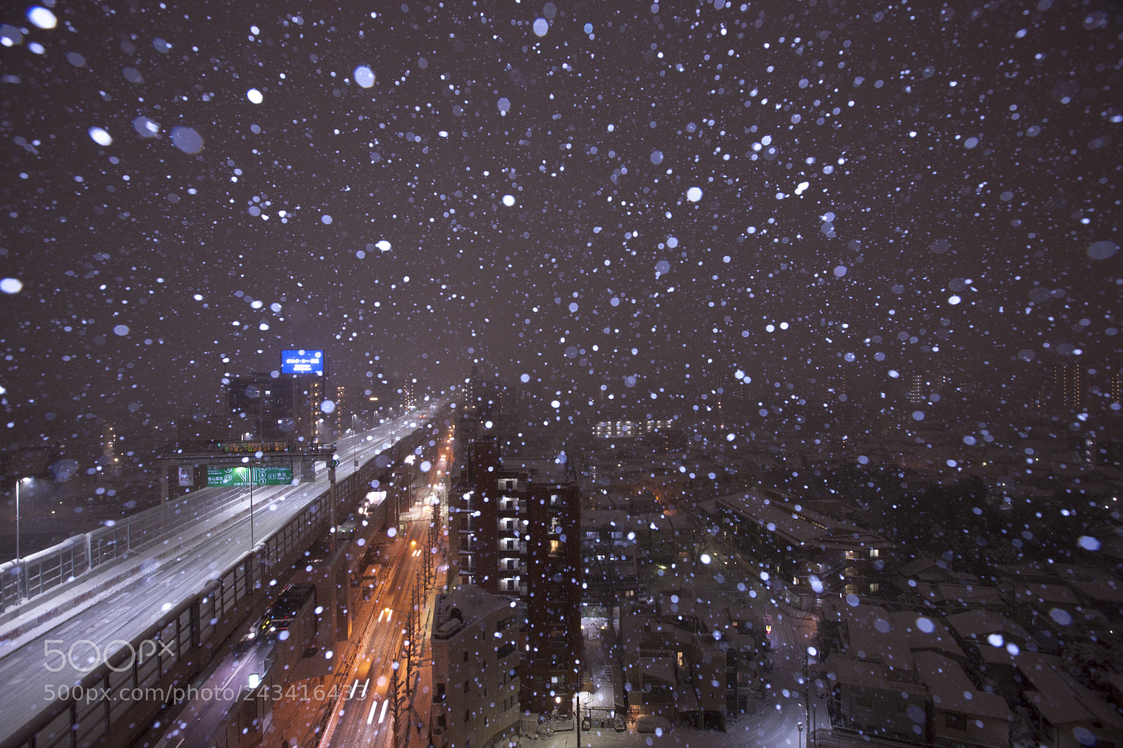 Canon EOS-1Ds Mark III sample photo. The snow is dancing photography