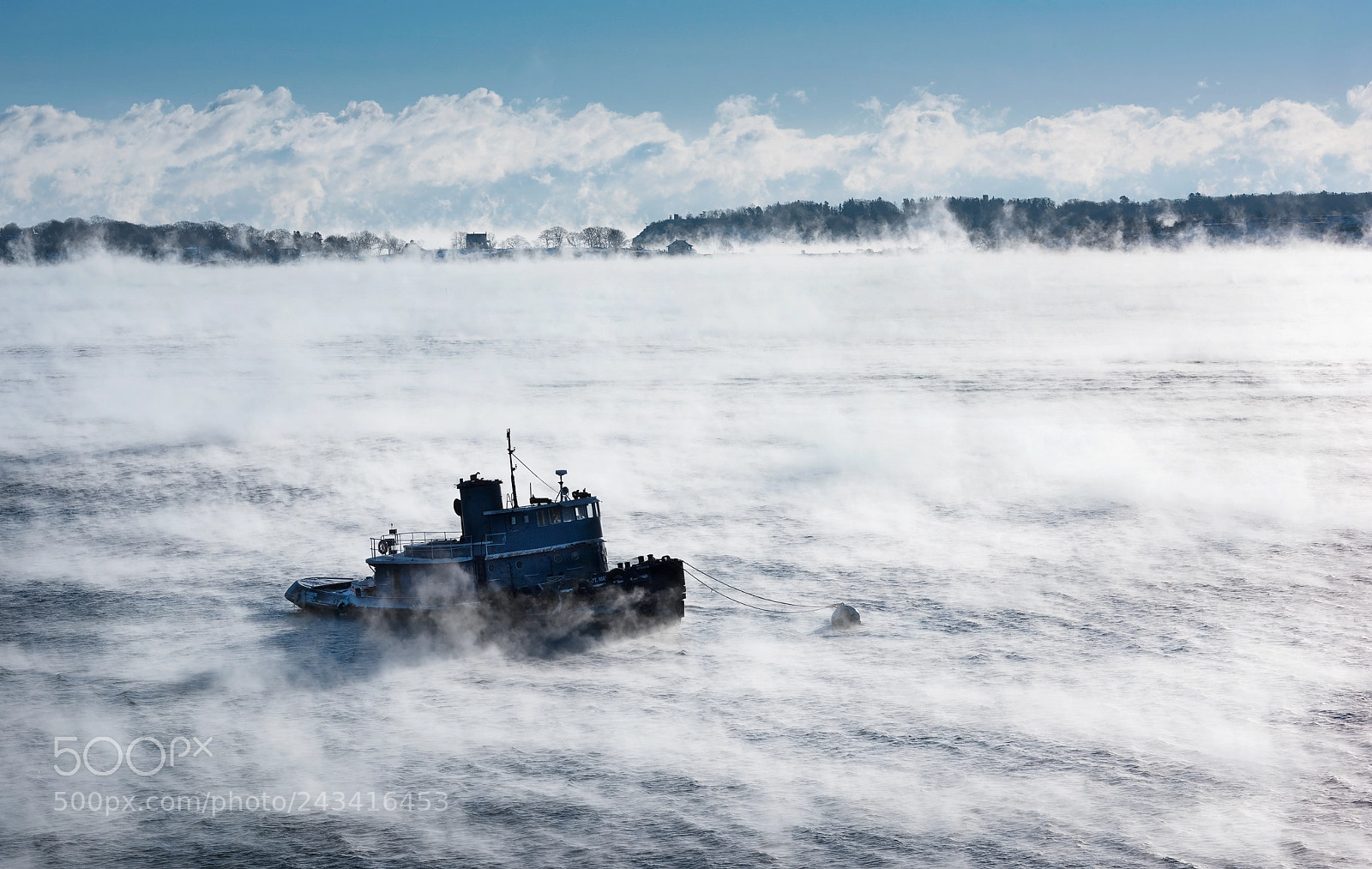 Nikon D810 sample photo. Tugboat in sea smoke photography