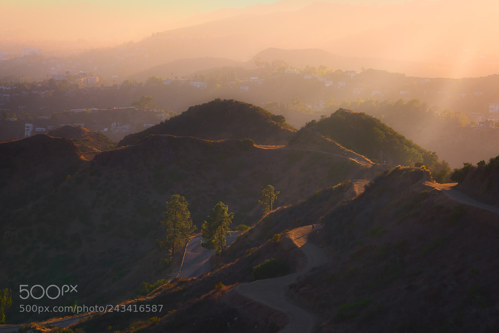Sony a7R II sample photo. Hollywood hills photography
