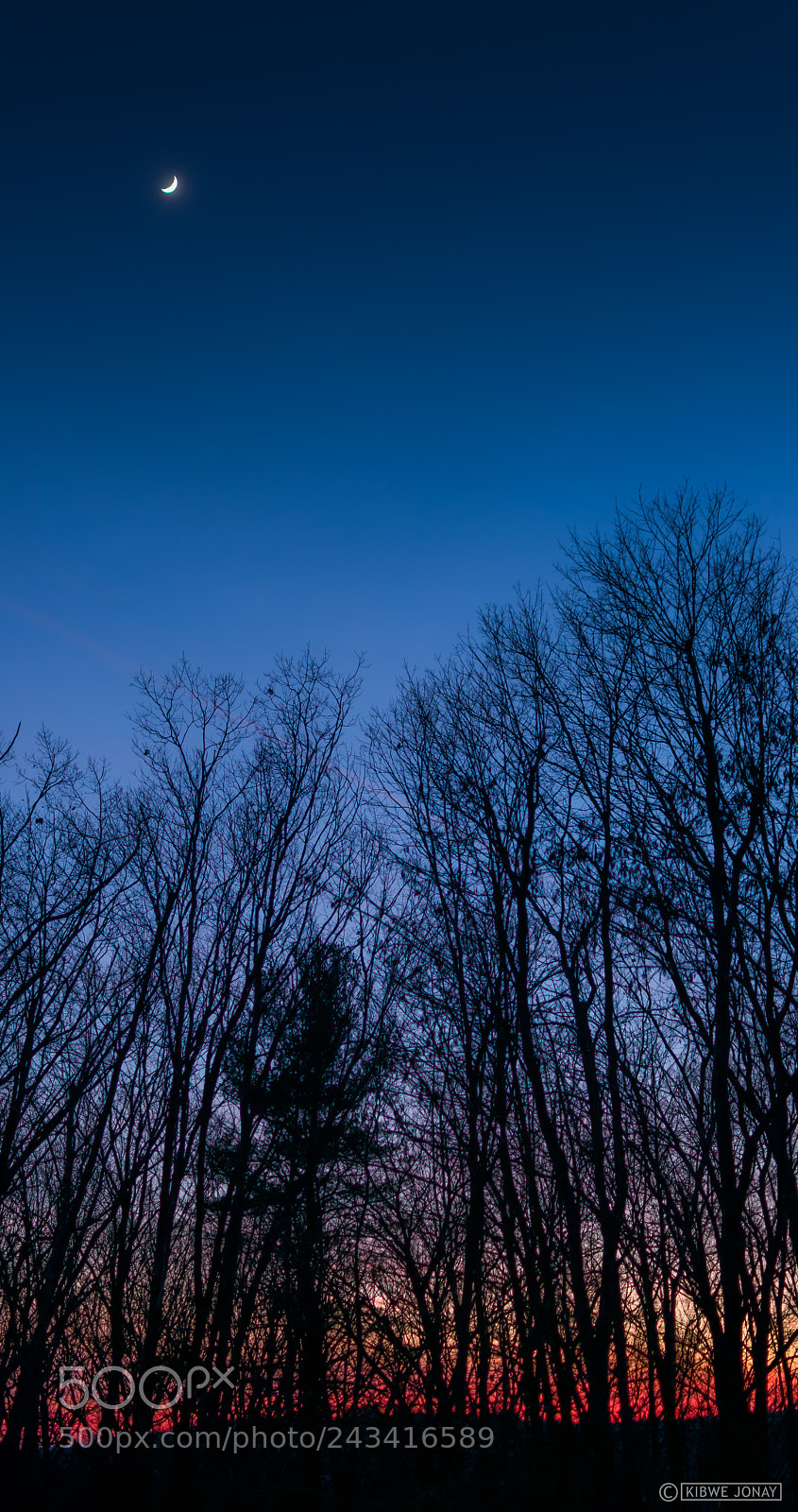 Nikon D3400 sample photo. Forest sunset #1 photography