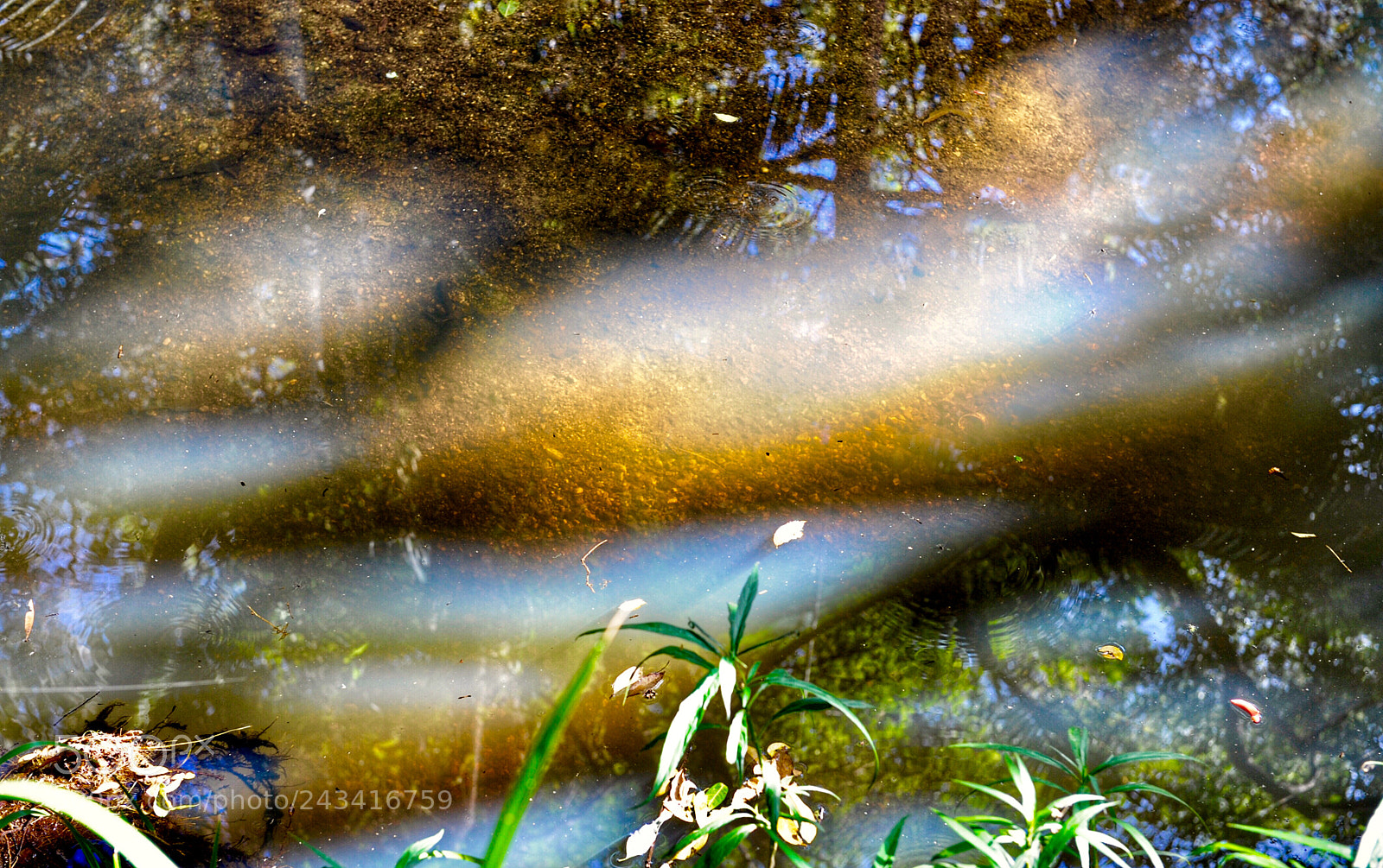 Nikon D700 sample photo. 《morning creek》 photography