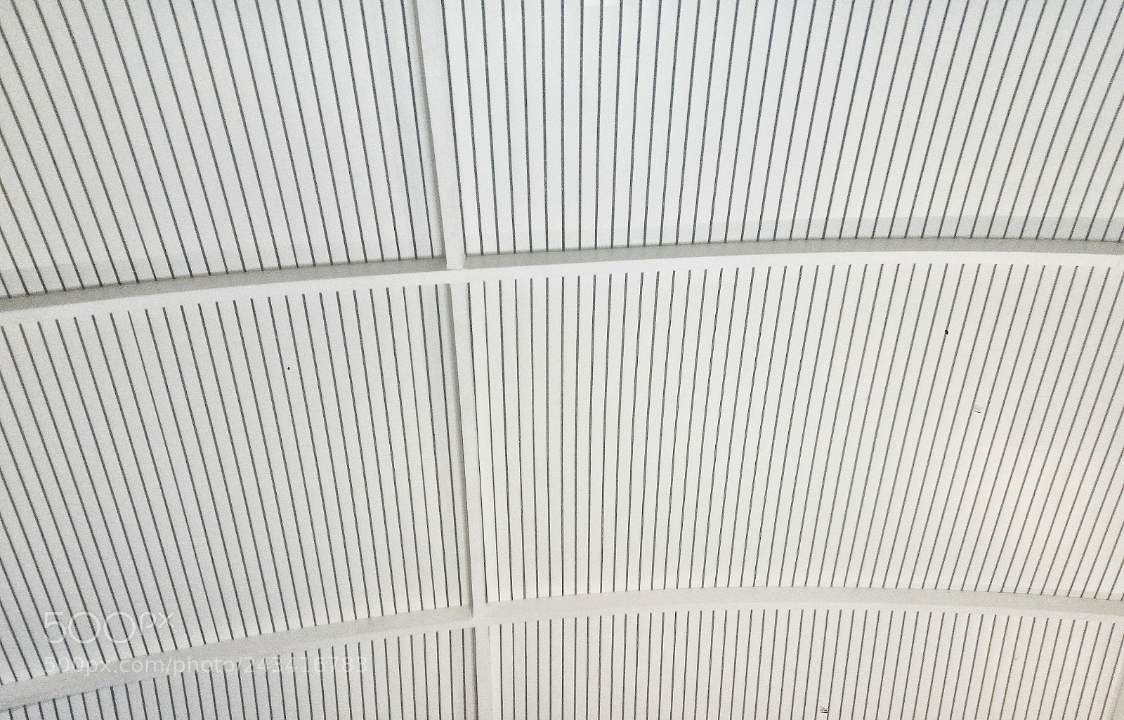 ASUS ZenFone 2 (ZE551ML) sample photo. The white cellar photography