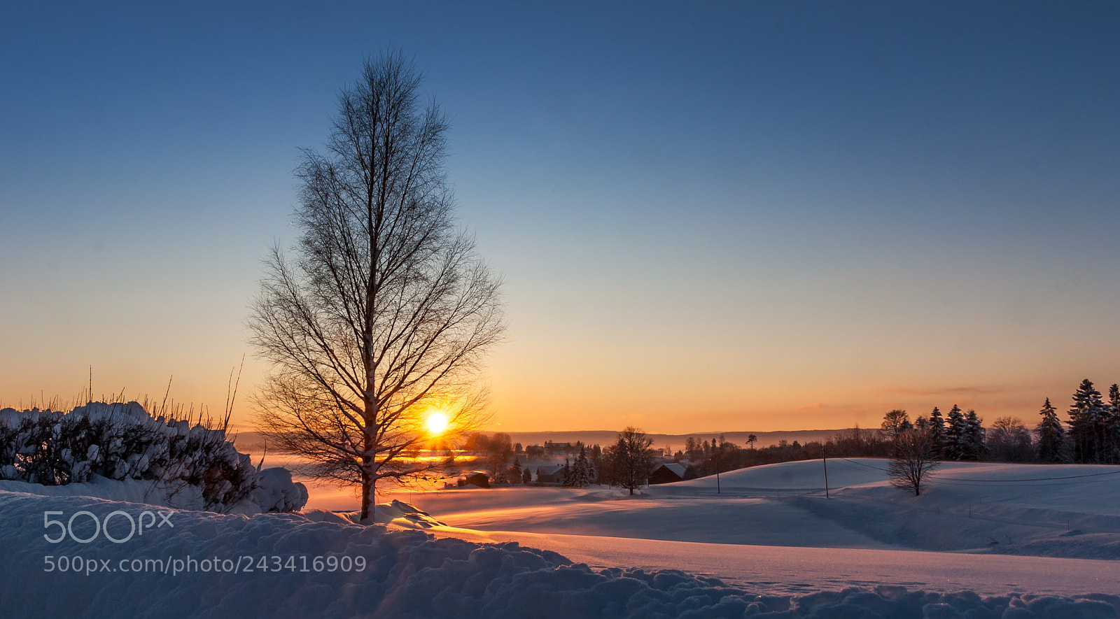 Canon EOS 450D (EOS Rebel XSi / EOS Kiss X2) sample photo. Winter sunset photography