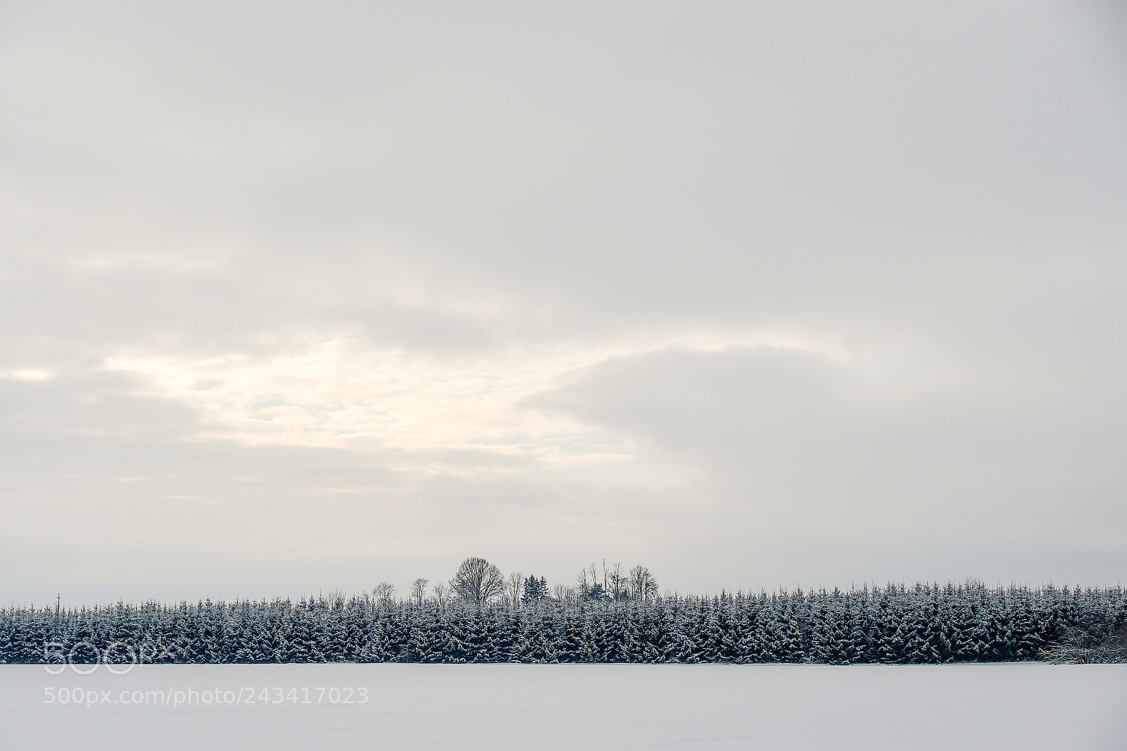 Nikon D4S sample photo. Winter in lithuania photography