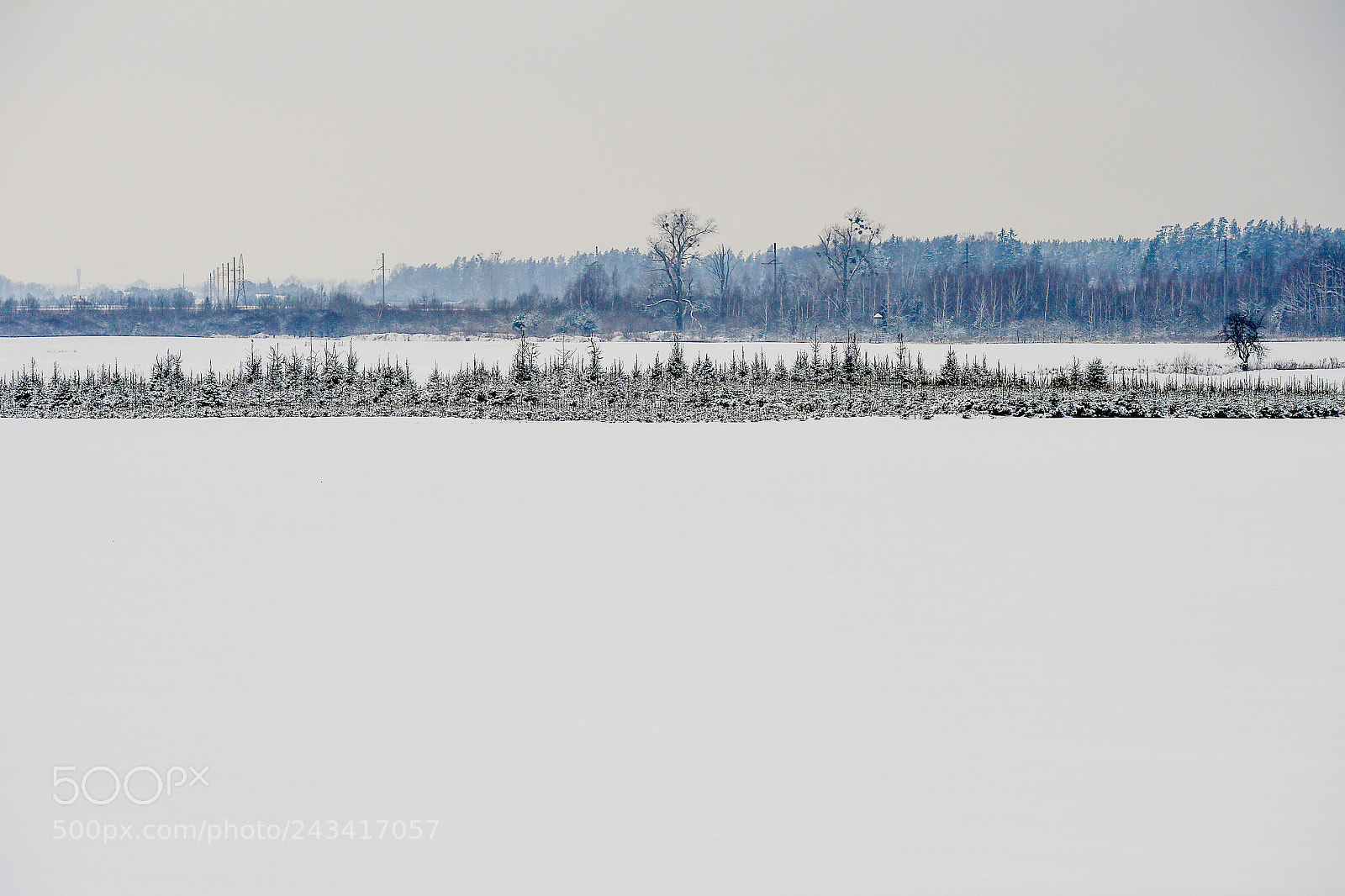 Nikon D4S sample photo. Winter in lithuania photography