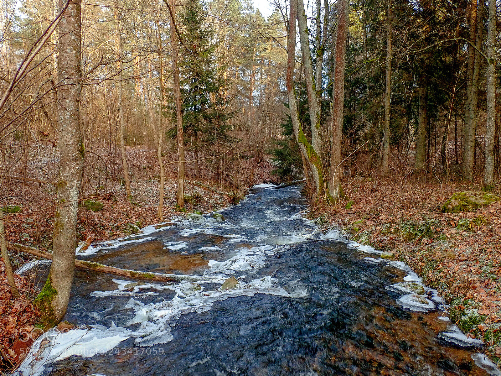 Olympus TG-5 sample photo. Winter in lithuania photography