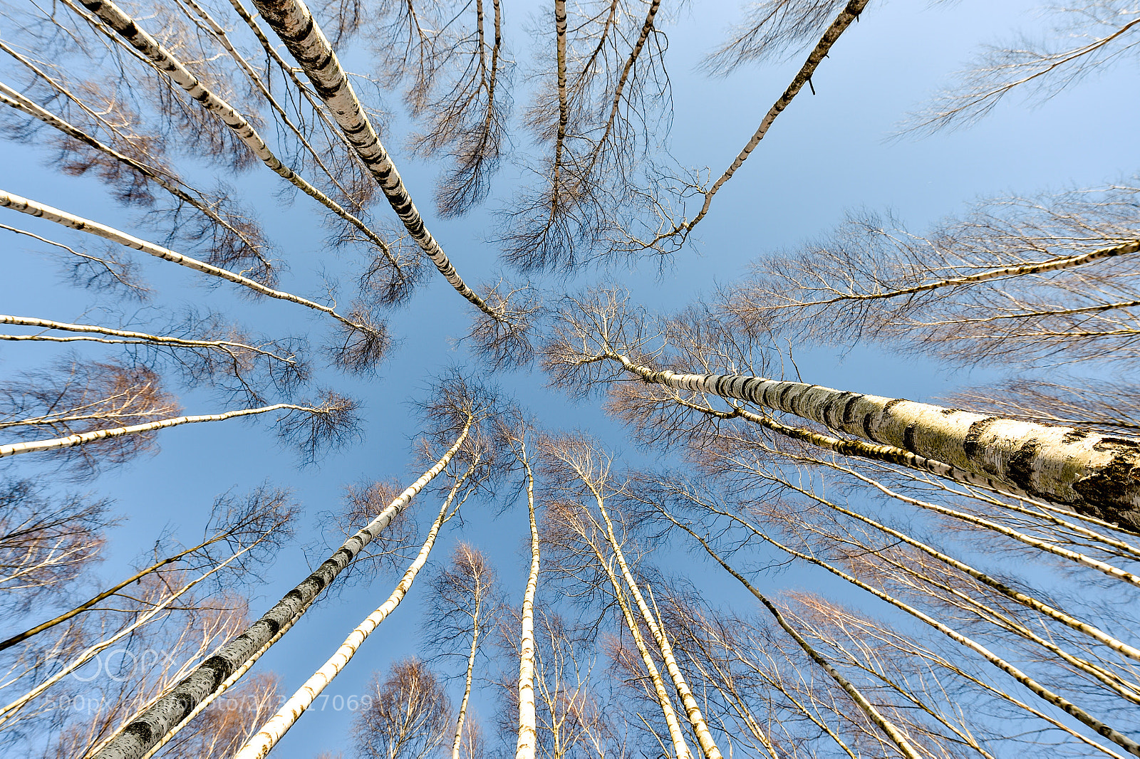 Nikon D4S sample photo. Winter in lithuania photography