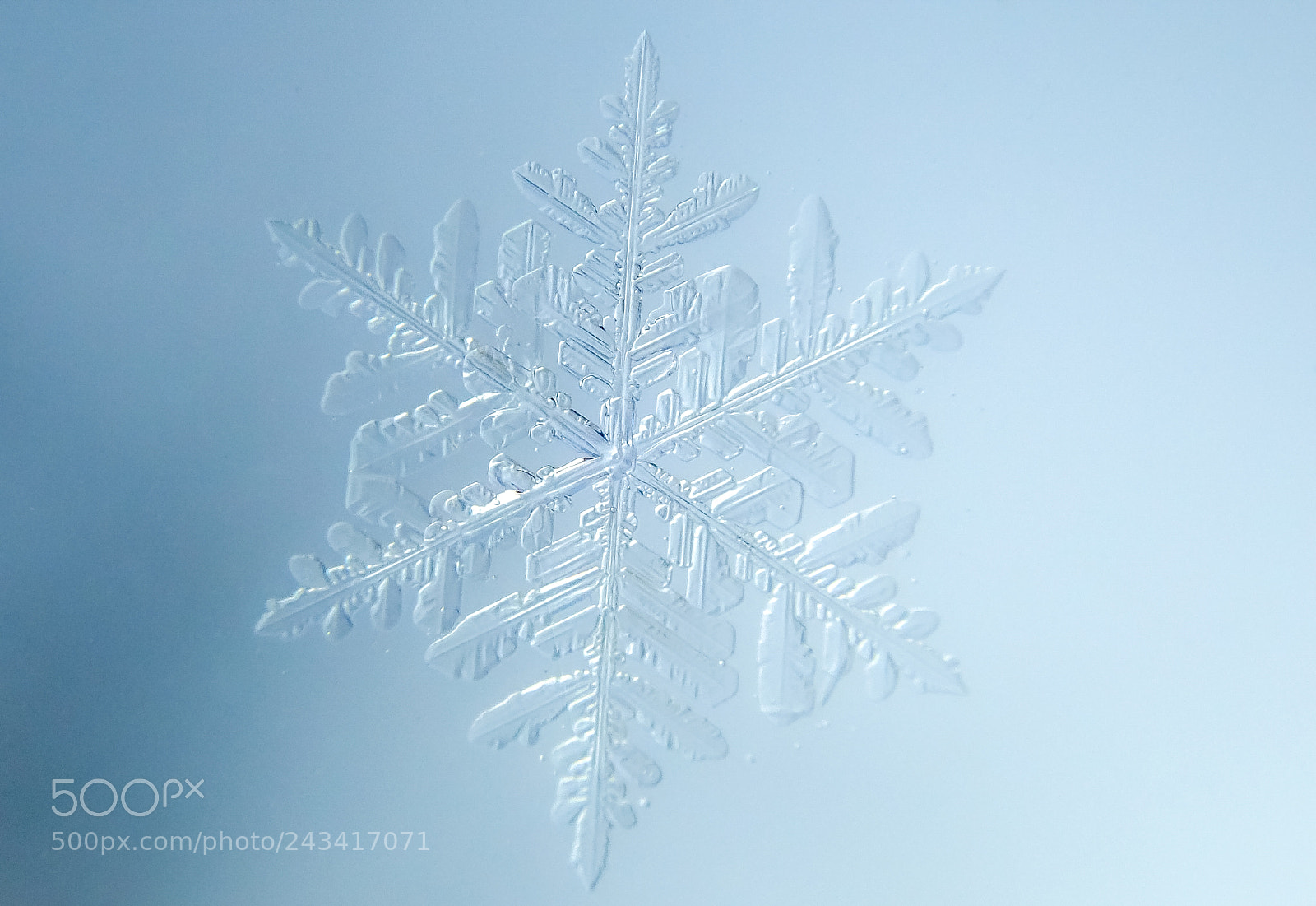 Olympus TG-5 sample photo. Winter in lithuania photography