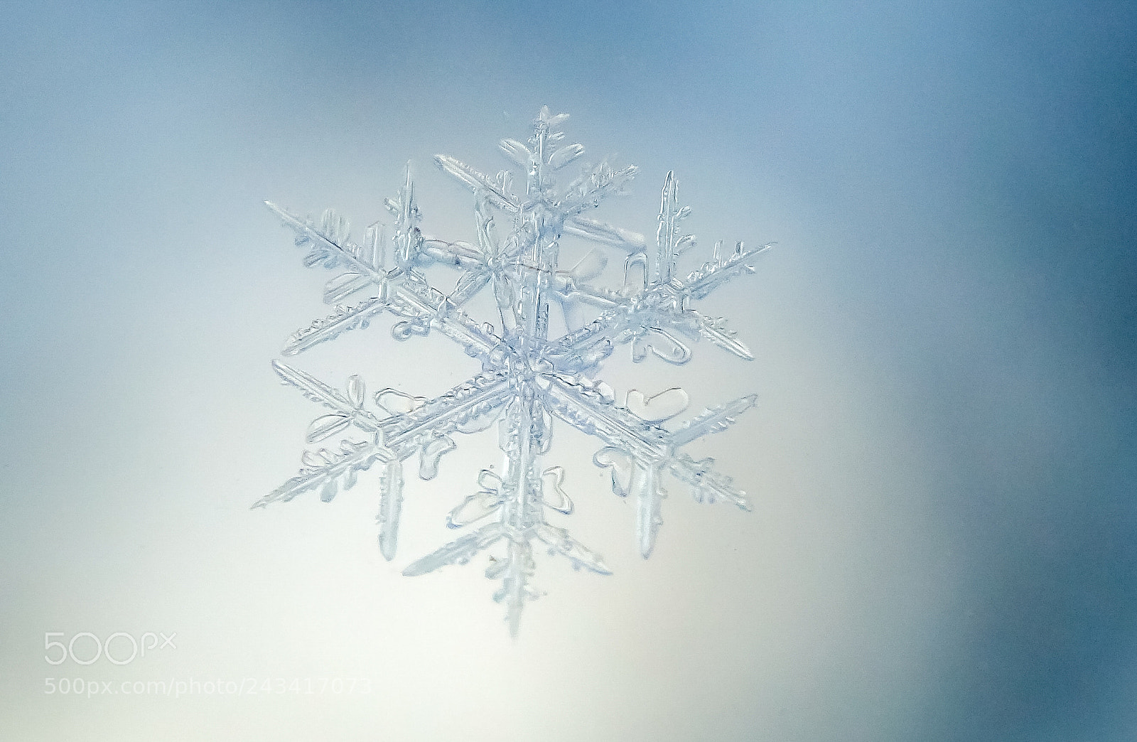 Olympus TG-5 sample photo. Winter in lithuania photography