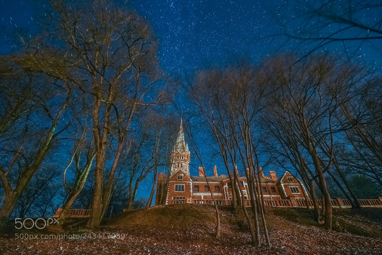 Nikon D4S sample photo. Winter in lithuania photography