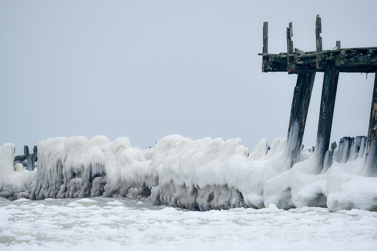 Nikon D4S sample photo. Winter in lithuania photography