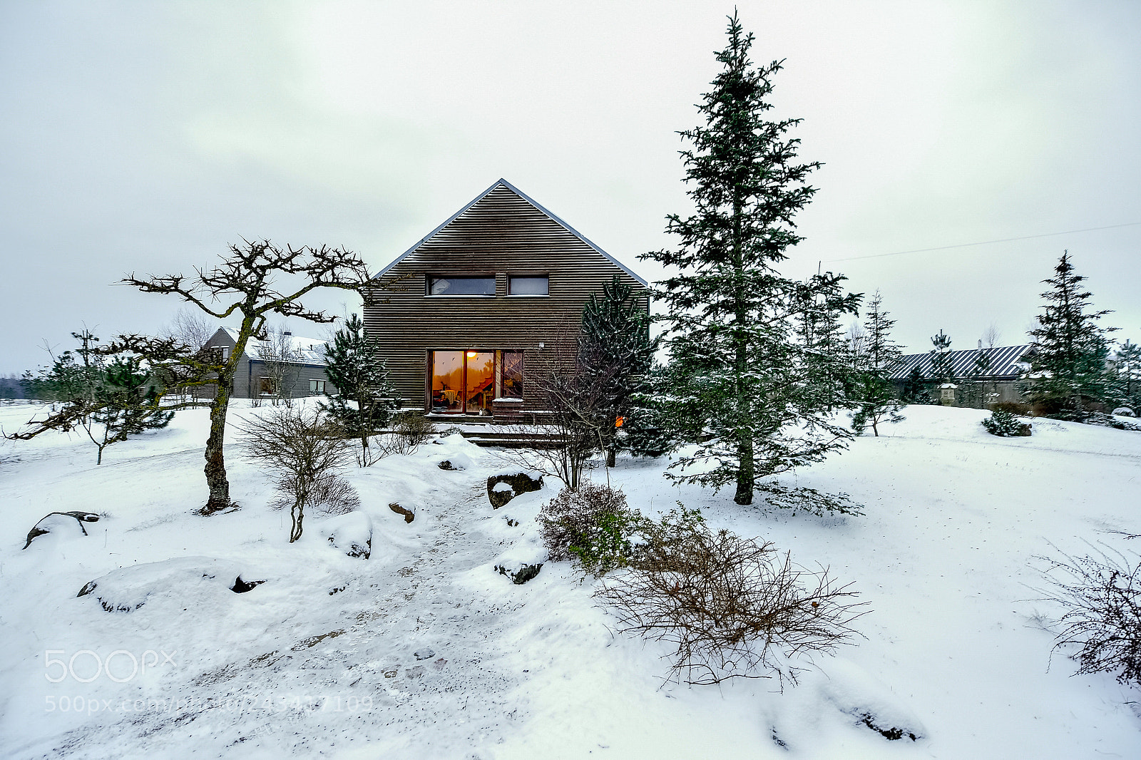 Nikon D4S sample photo. Winter in lithuania photography