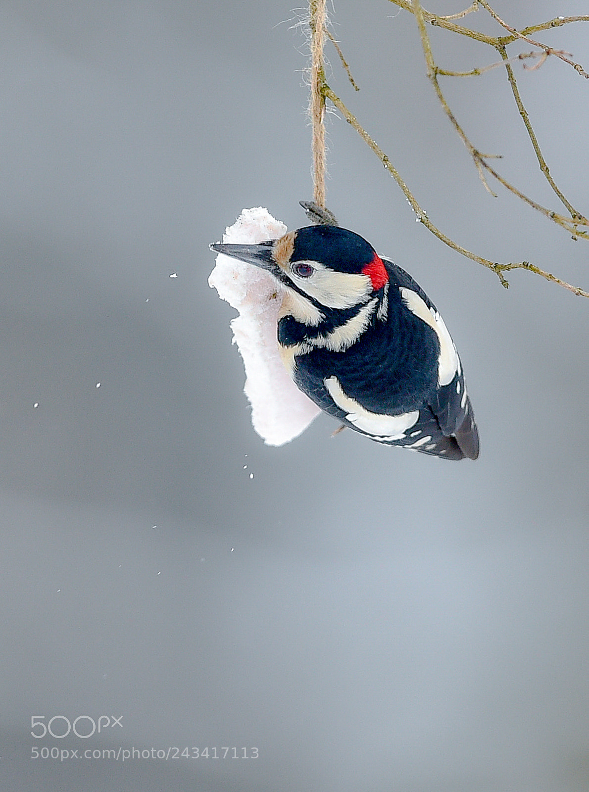 Nikon D4S sample photo. Winter in lithuania photography