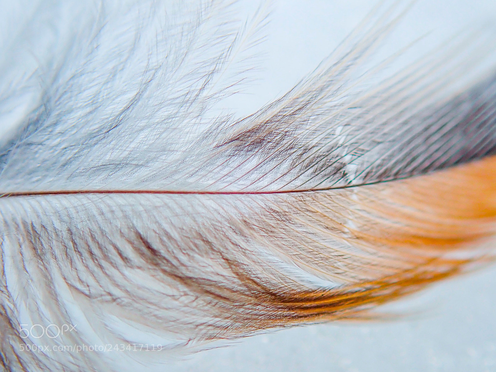 Olympus TG-5 sample photo. Winter in lithuania photography