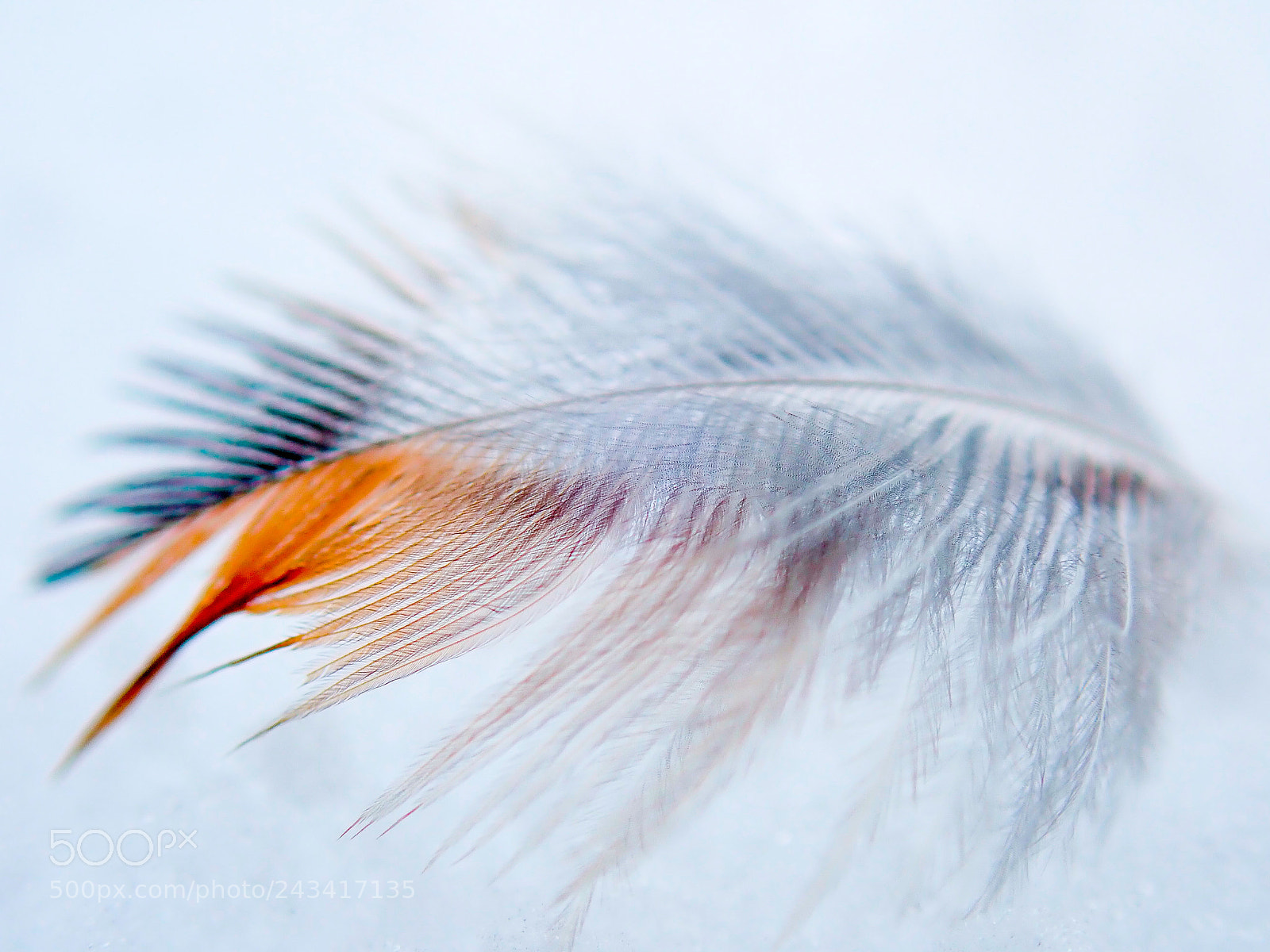 Olympus TG-5 sample photo. Winter in lithuania photography