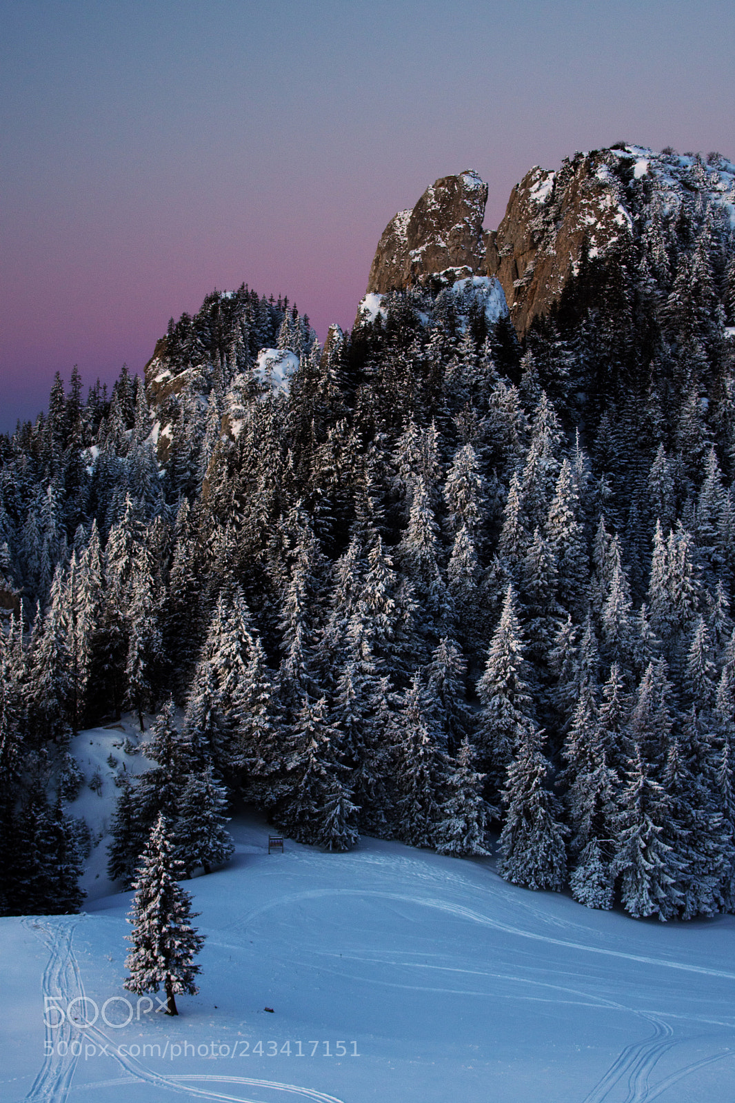 Nikon D7200 sample photo. Winterland photography