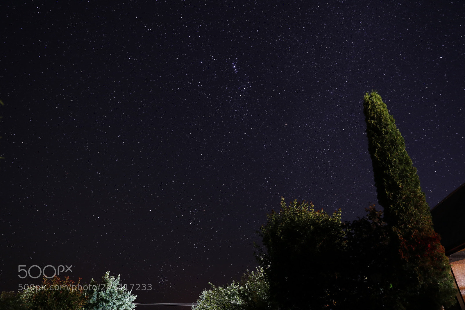 Canon EF 24-70mm F2.8L II USM sample photo. Star photography
