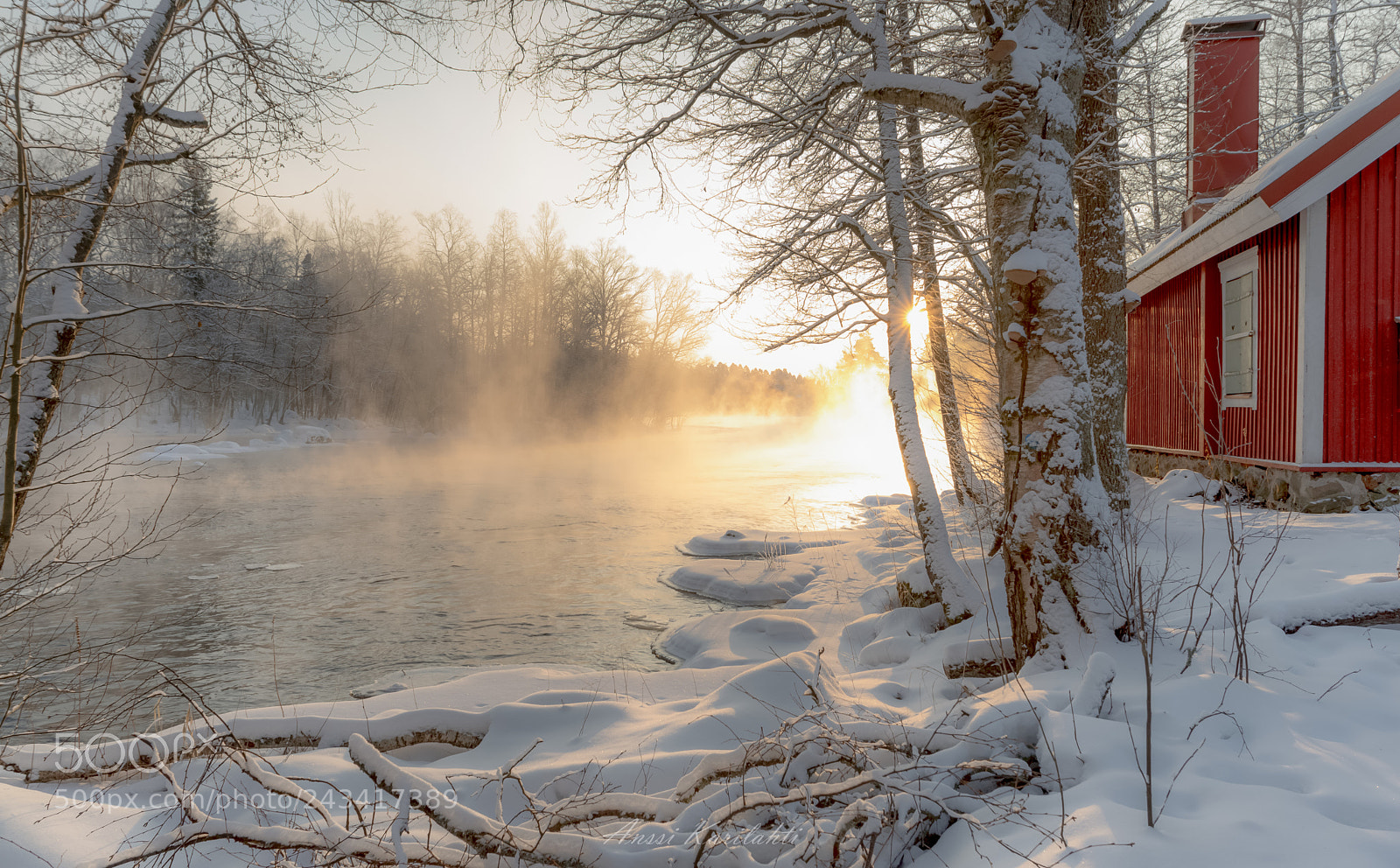 Nikon D600 sample photo. Golden misty morning photography