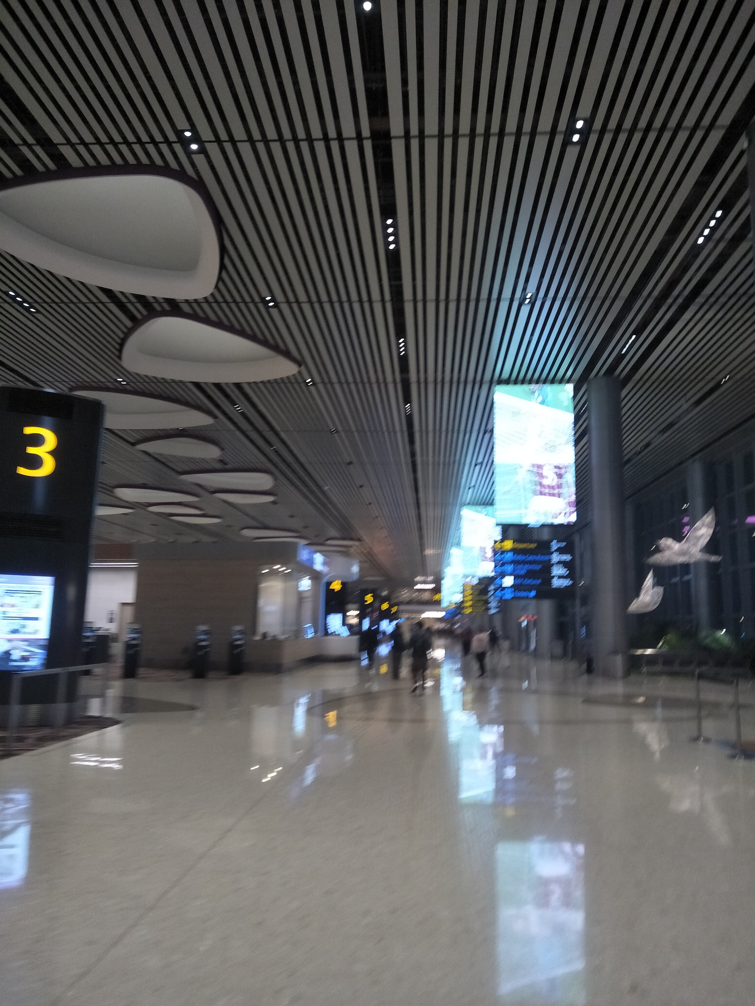 OPPO CPH1701 sample photo. 09_changi airport photography
