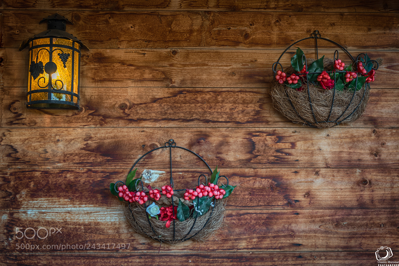 Nikon D610 sample photo. Edit photography