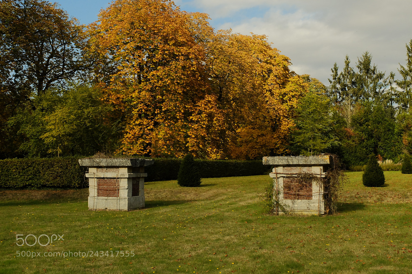 Fujifilm X20 sample photo. Parc chateau bailleul photography