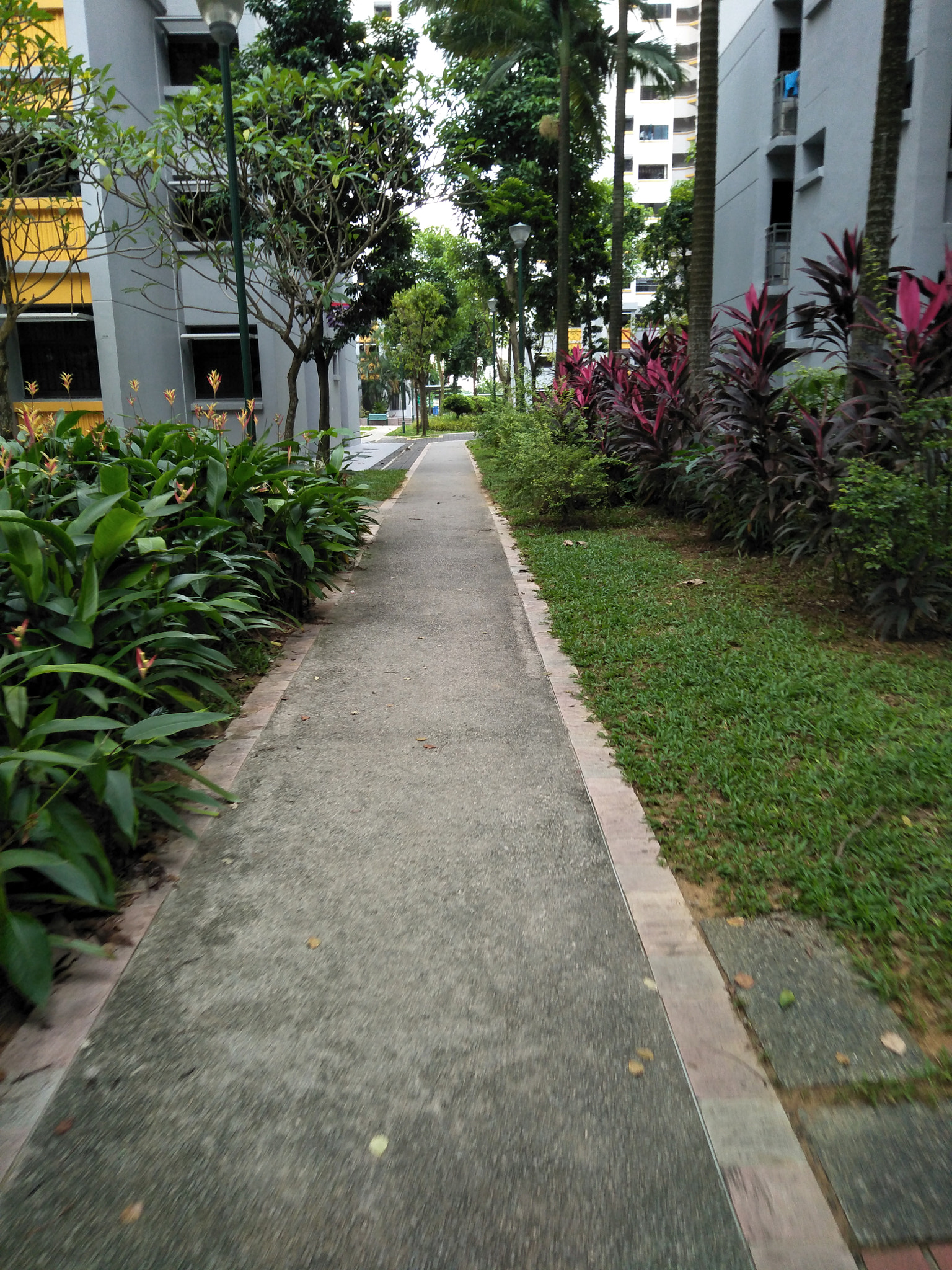 OPPO CPH1701 sample photo