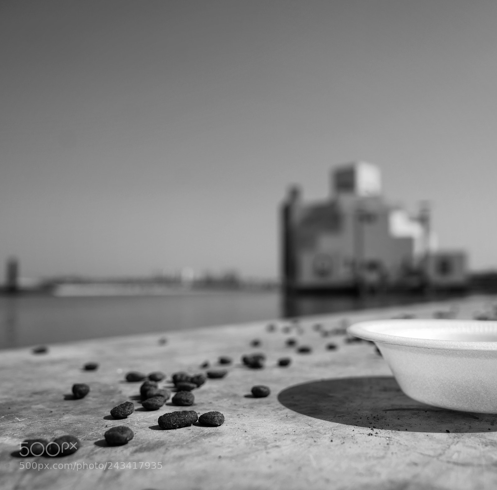 Leica SL (Typ 601) sample photo. Untitled photography