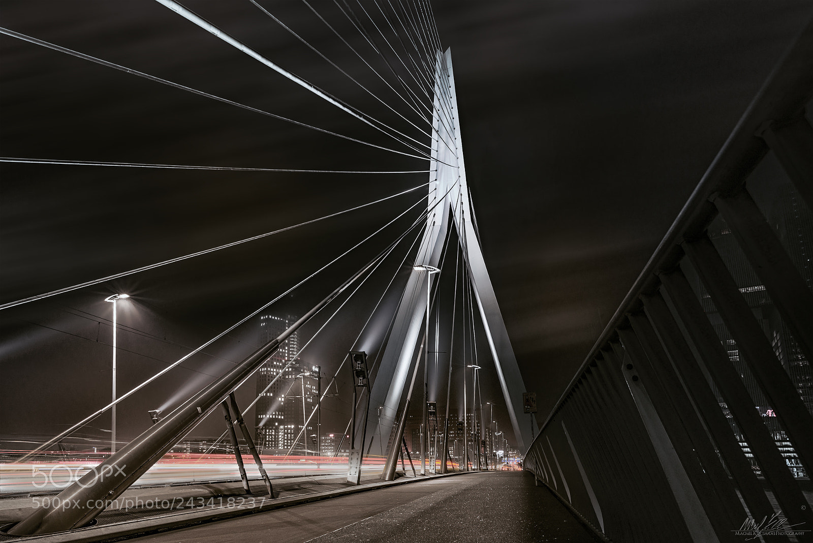 Nikon D600 sample photo. Erasmusbridge photography