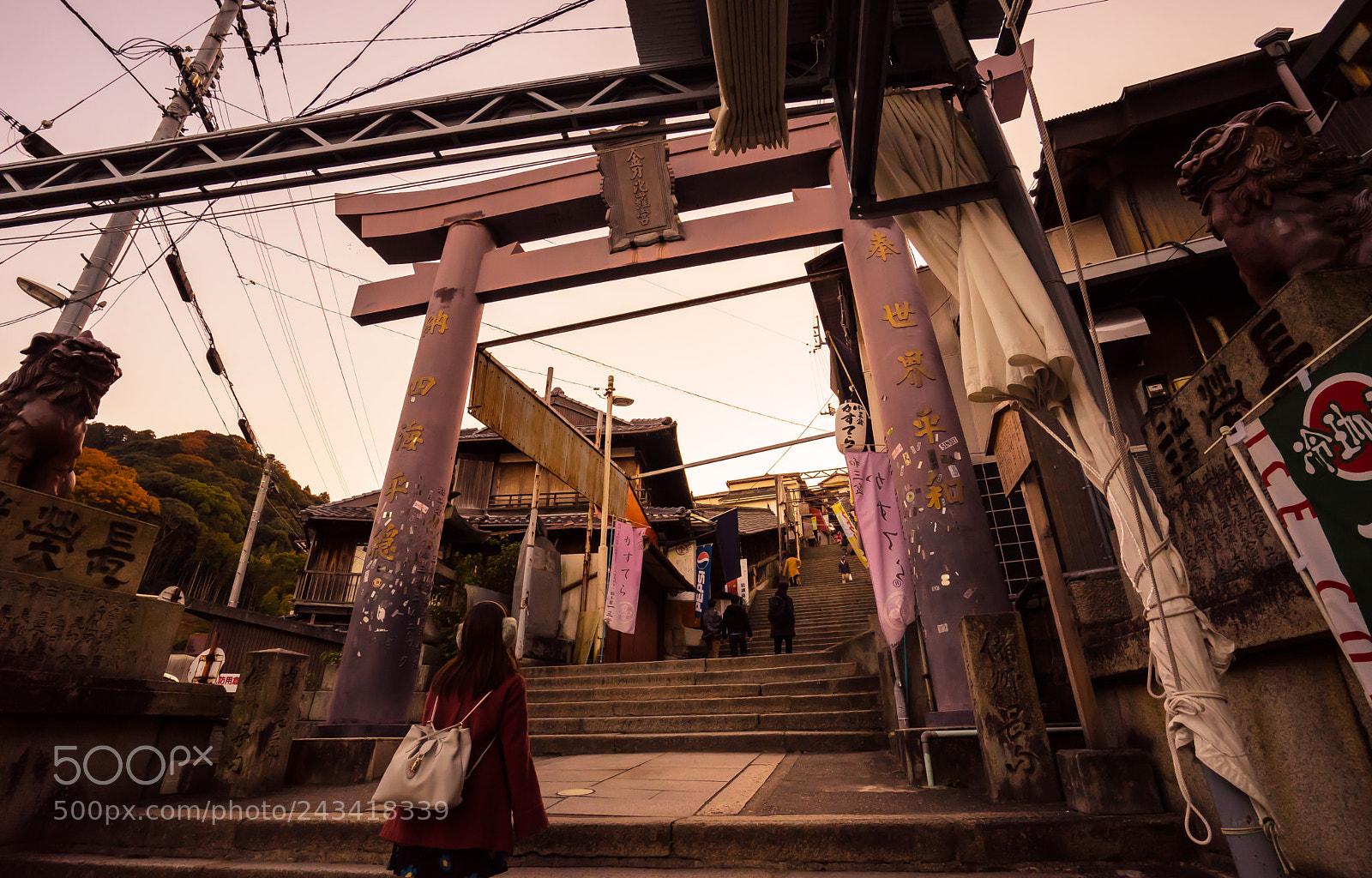 Sony a7 II sample photo. 785 photography