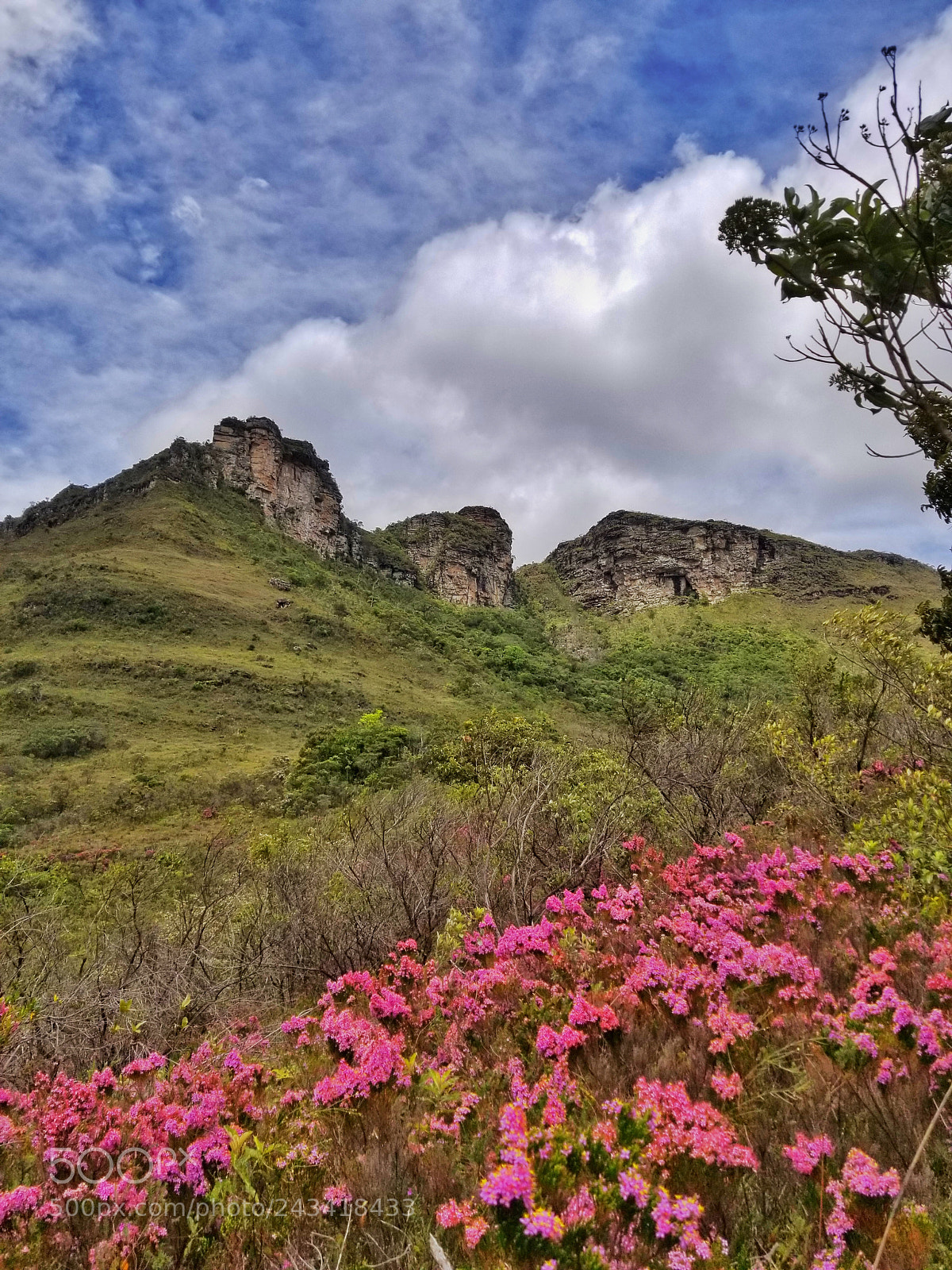 Samsung Galaxy S8 sample photo. Zigzag photography
