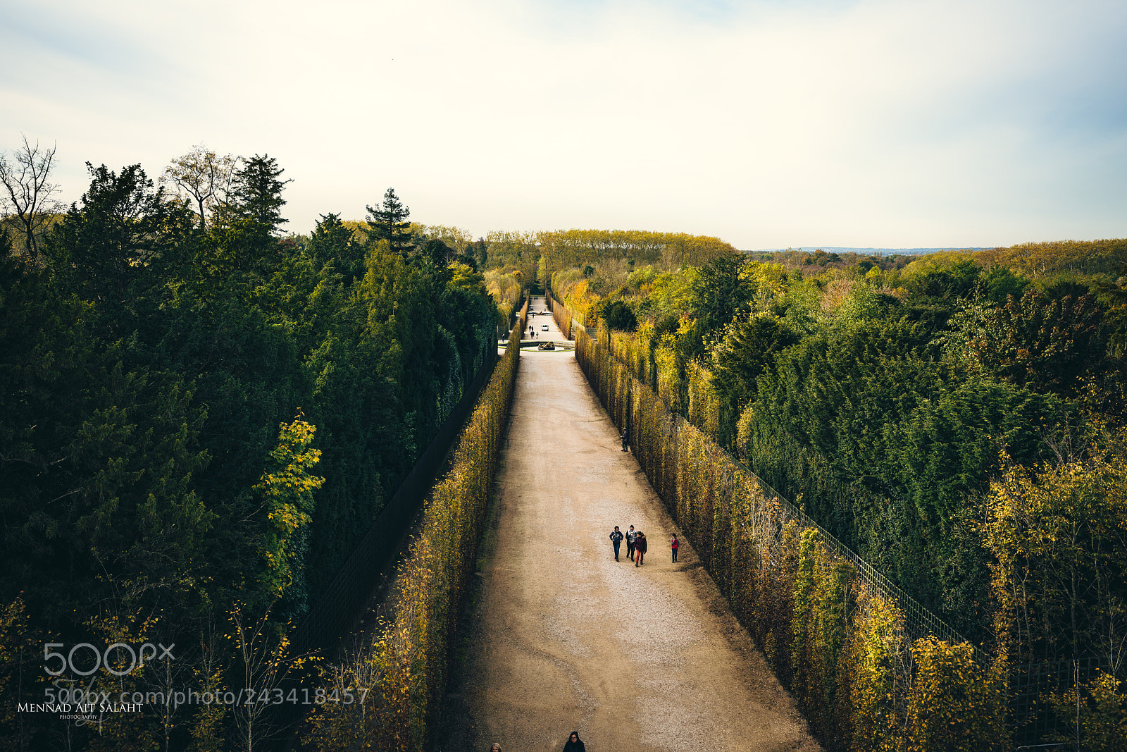 Sony a7R II sample photo. Jardins de versailles photography