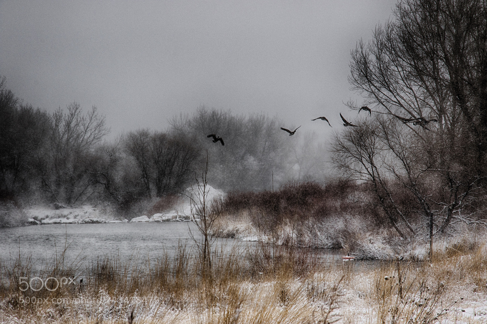 Canon EOS 7D Mark II sample photo. Taking flight photography