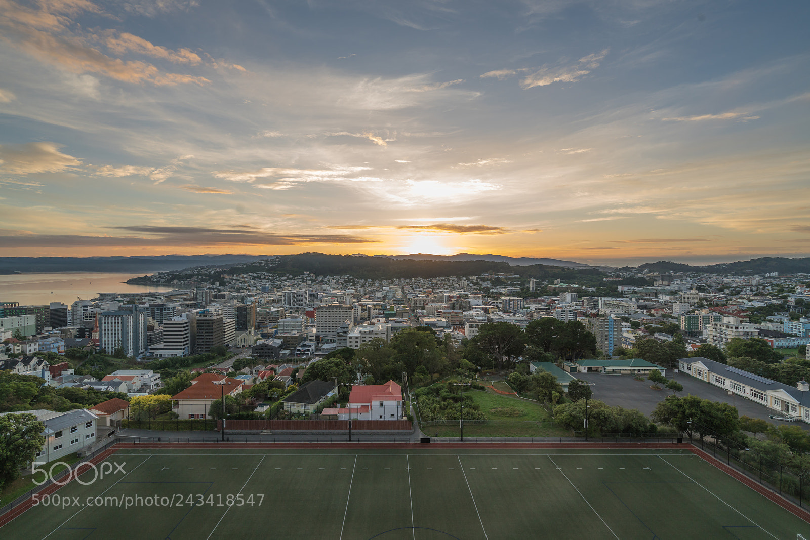 Sony a7R II sample photo. Wellington city-4 photography