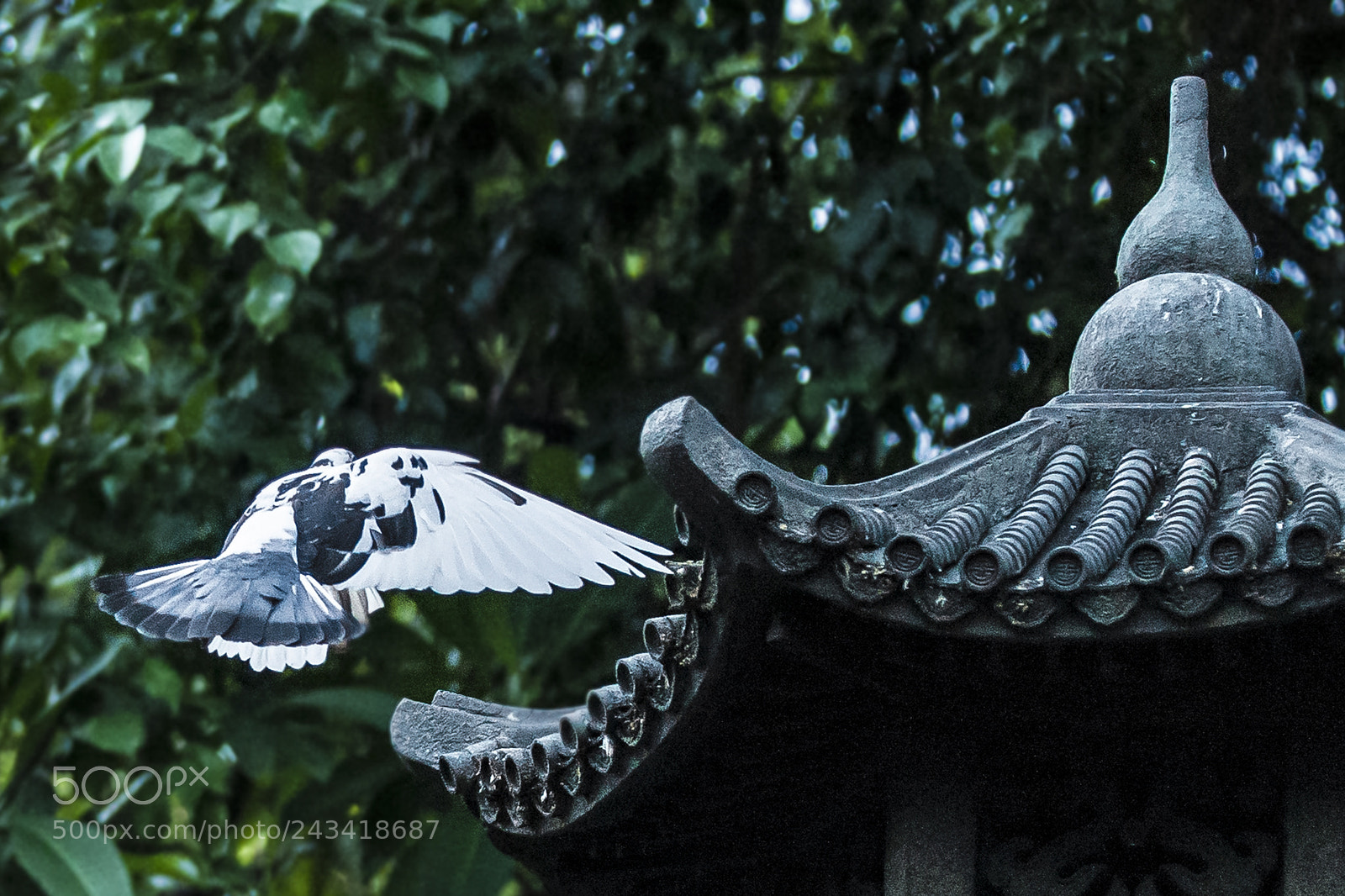 Canon EOS 5D sample photo. Untitled photography