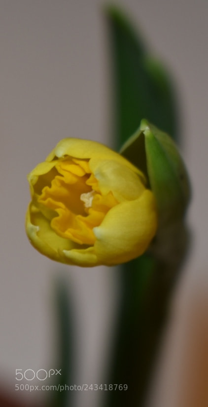 Nikon D3400 sample photo. Untitled photography