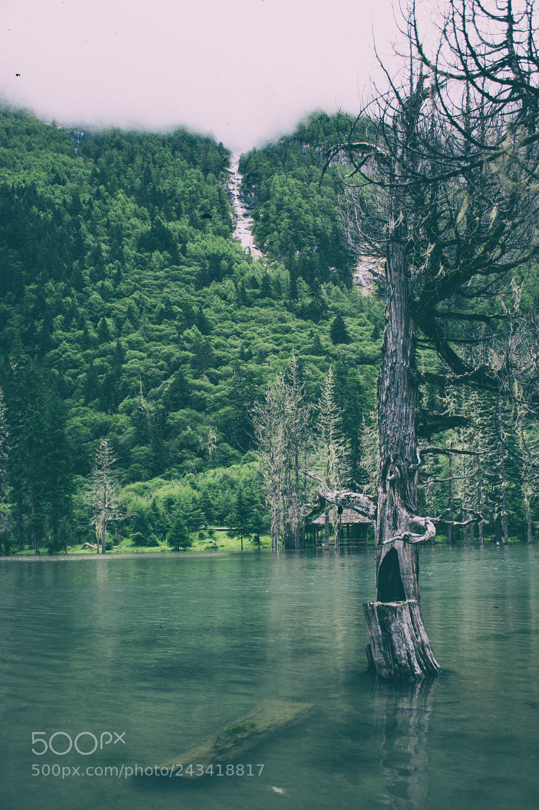 Nikon D7100 sample photo. Untitled photography
