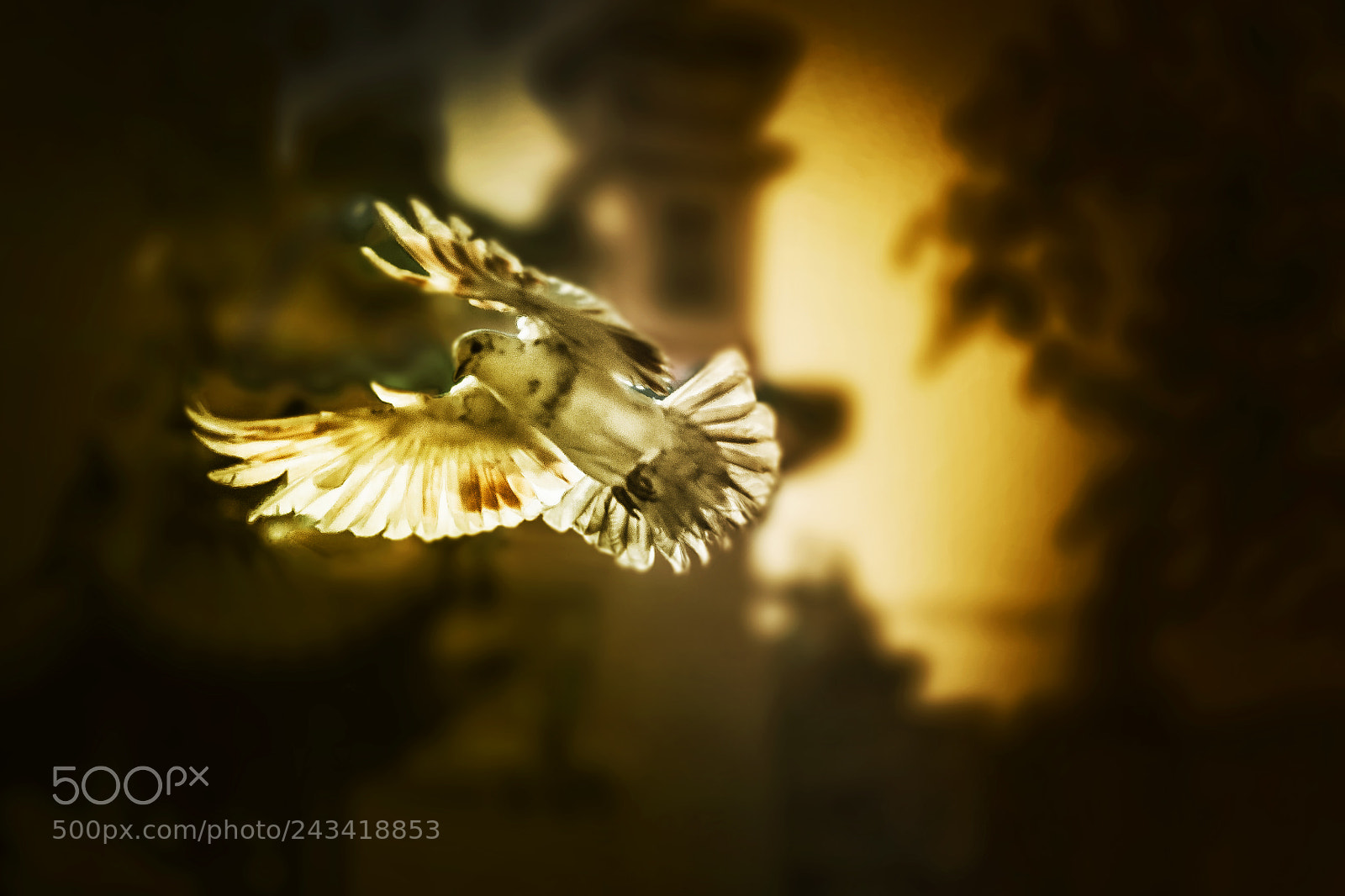 Canon EOS 5D sample photo. Untitled photography