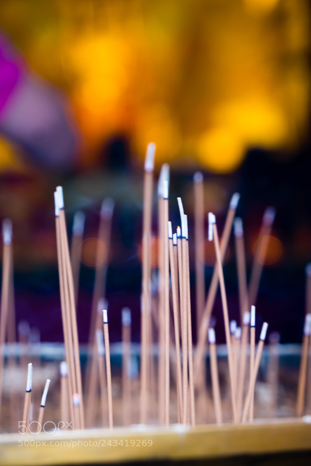 Fujifilm X-T1 sample photo. Untitled photography