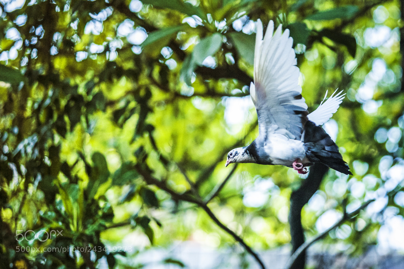 Canon EOS 5D sample photo. Untitled photography