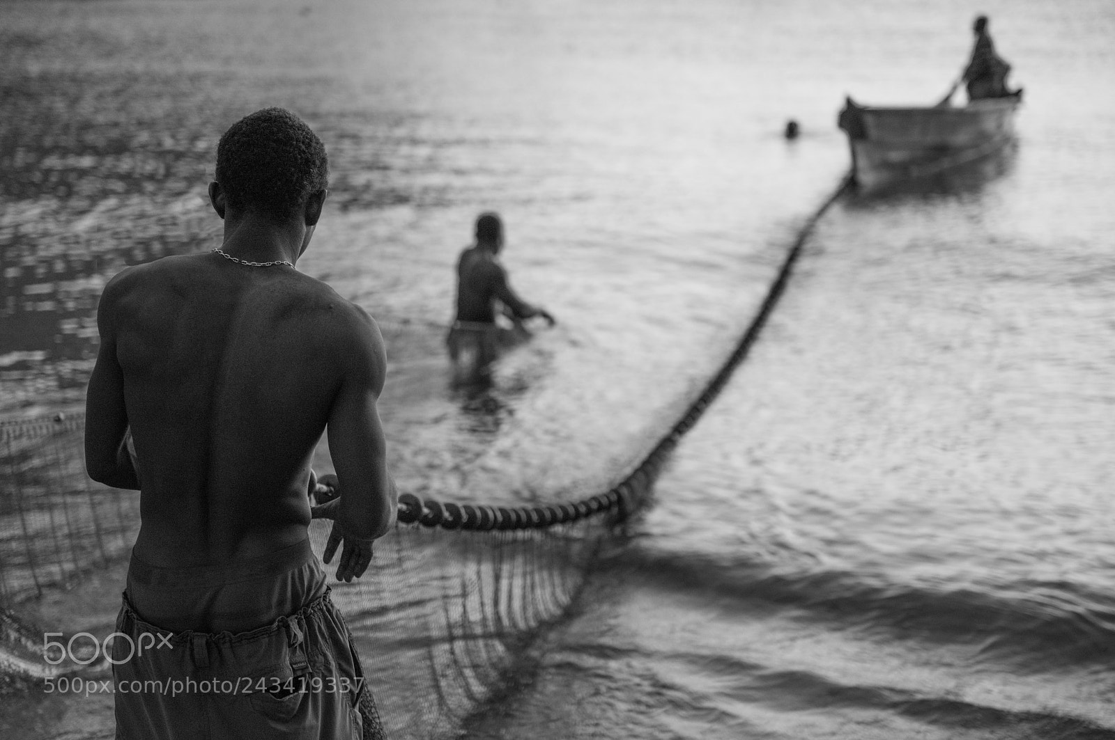 Nikon D810 sample photo. Catch of the day photography