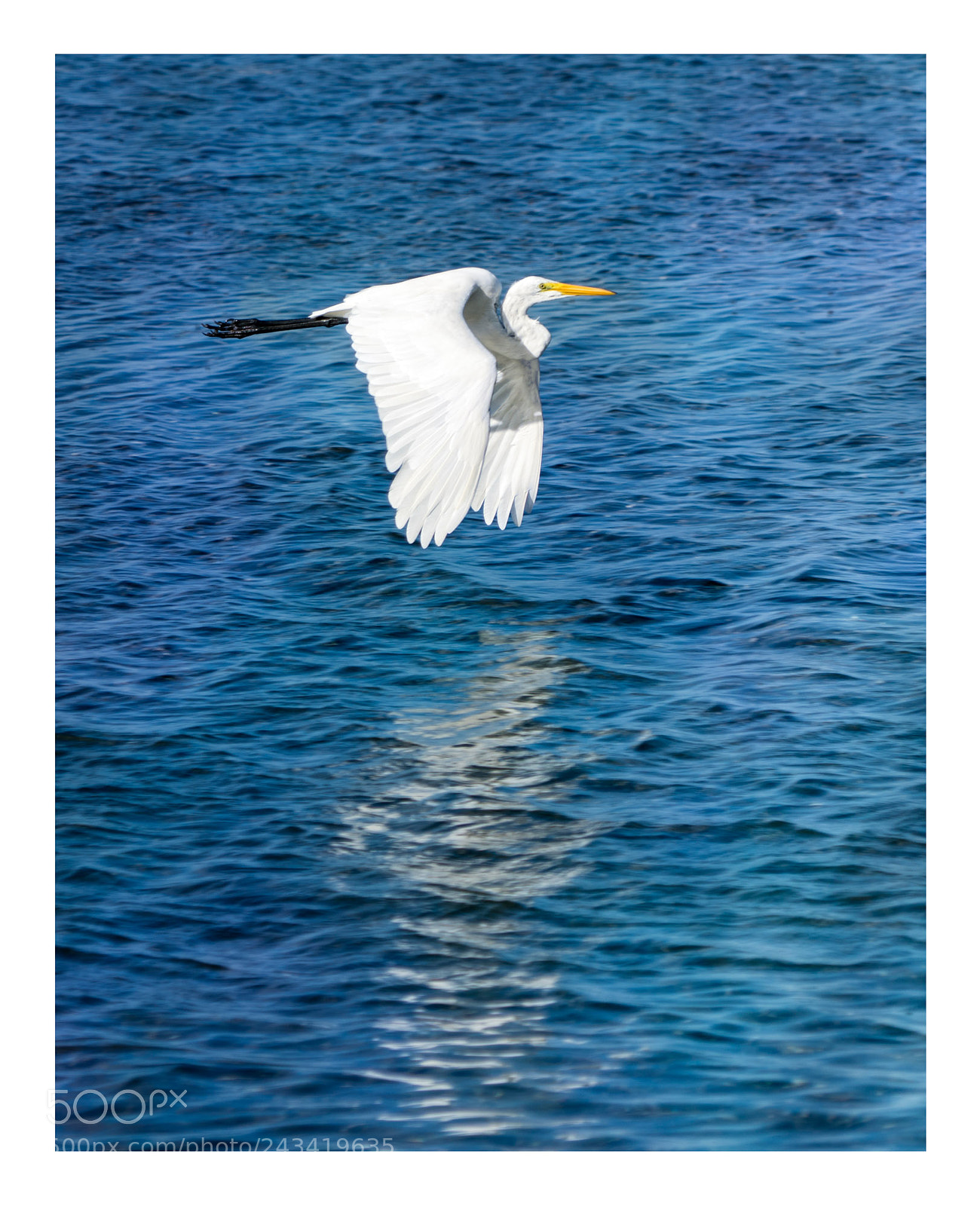 Sony a7R II sample photo. In flight photography