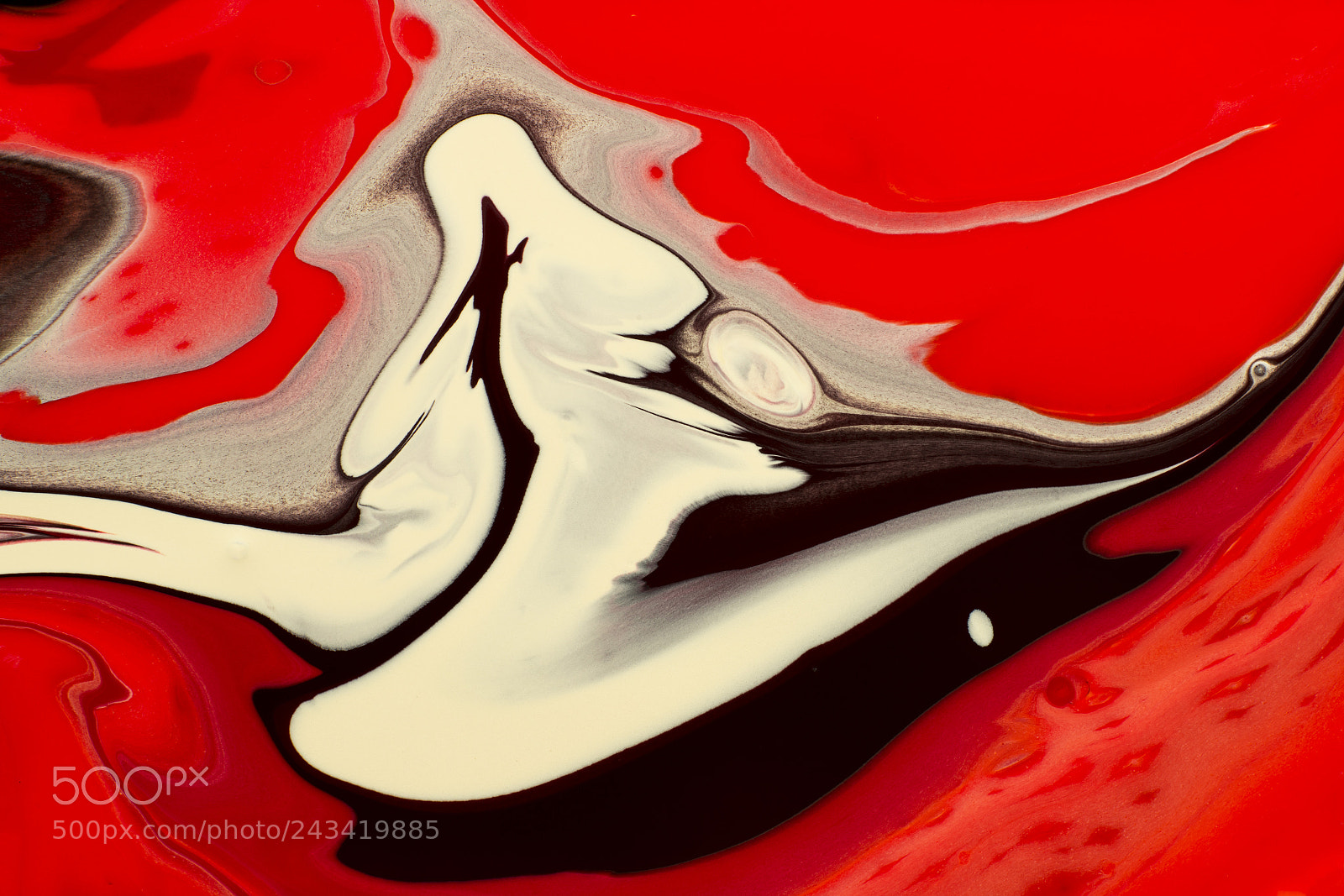 Sony a7R sample photo. Plate 5626 photography