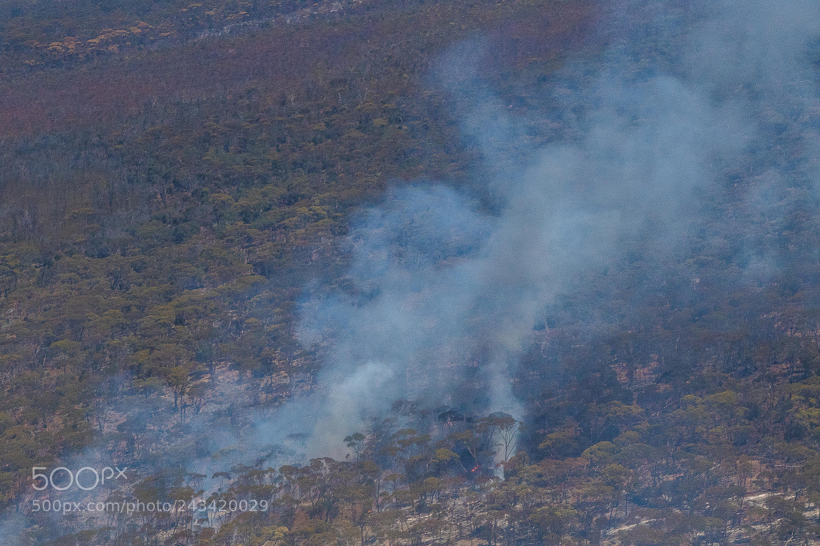 Canon EOS 7D Mark II sample photo. Bushfire flyover photography
