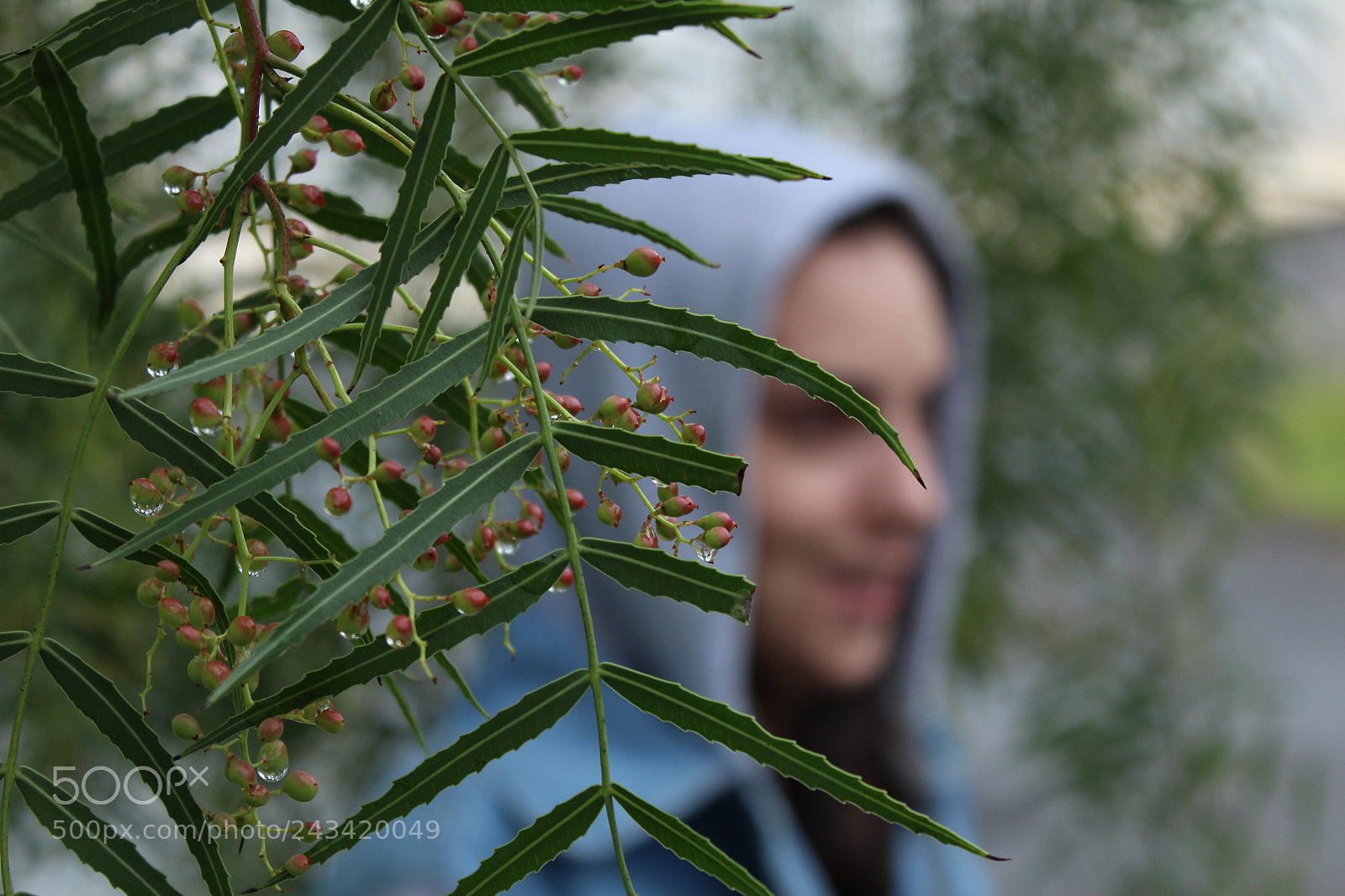 Canon EOS 1200D (EOS Rebel T5 / EOS Kiss X70 / EOS Hi) sample photo. Emerald photography