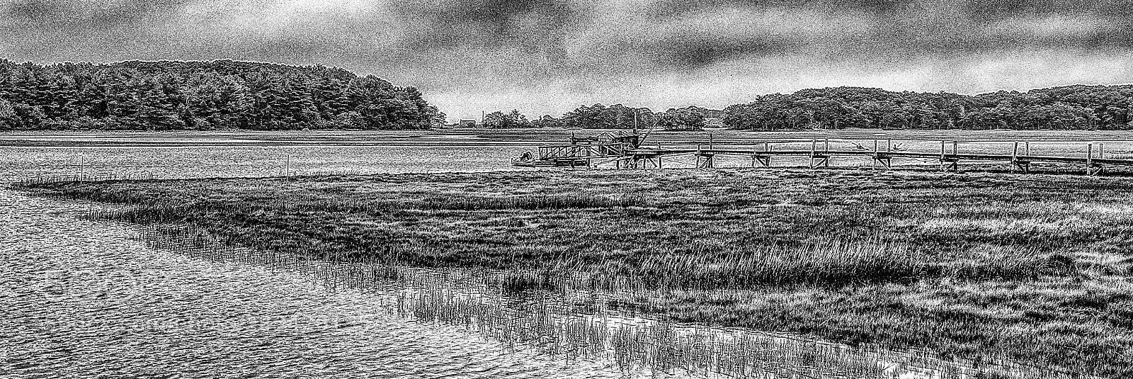 Nikon D90 sample photo. Marsh with dock photography