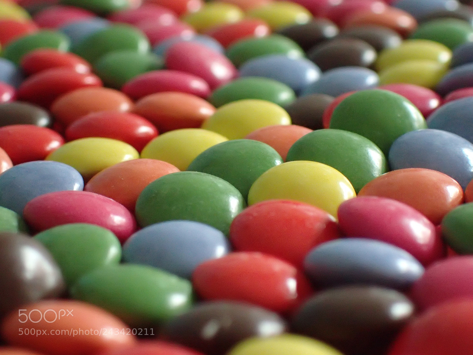 Olympus TG-4 sample photo. Sweet colors photography