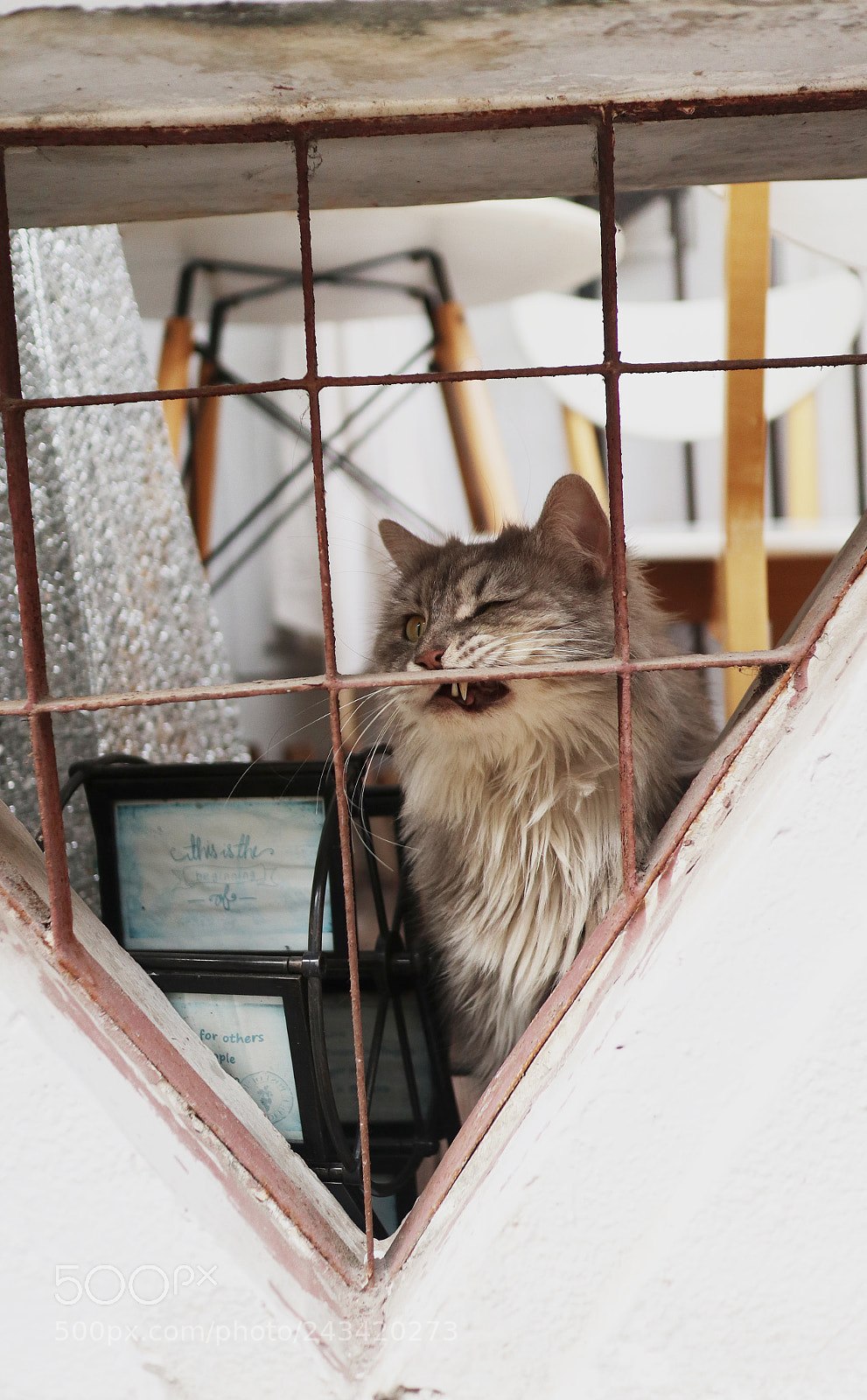 Canon EOS M6 sample photo. Img photography